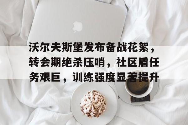 包含沃尔夫斯堡发布备战花絮，转会期绝杀压哨，社区盾任务艰巨，训练强度显著提升的词条